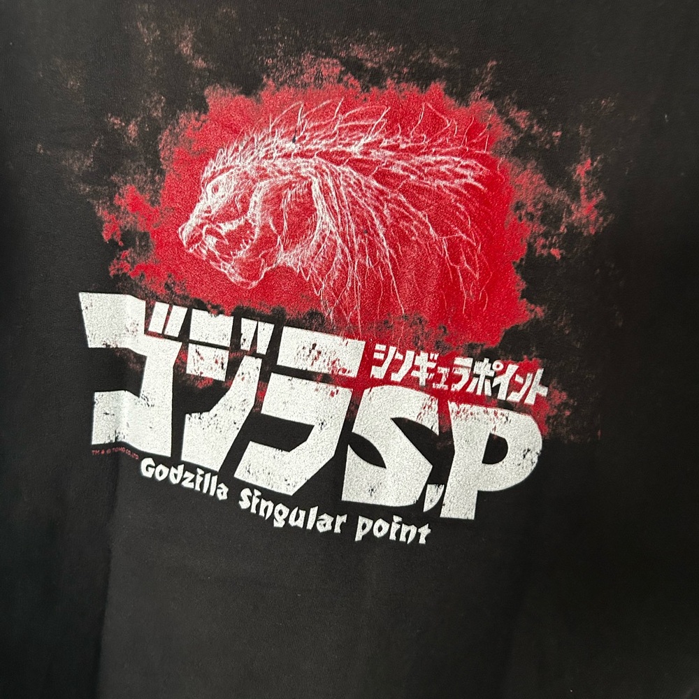 Black Godzilla singular point zip up hoodie.